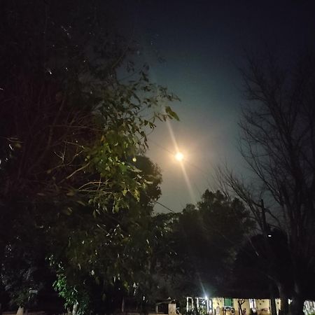Pousada O Canto Da Seriema Nobres Exterior photo